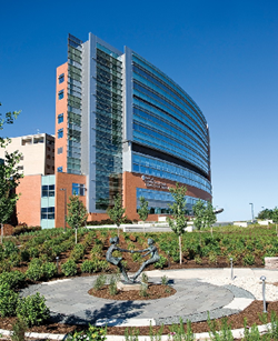 Edificios con certificación LEED LEED certified building
