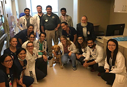 Internal Medicine Residents Internal Medicine Residents