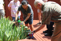 people gardening outside