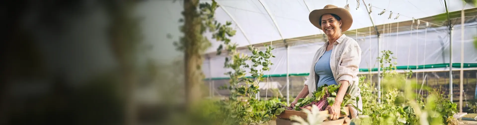 Smart Farm at Advocate Good Shepard Hospital