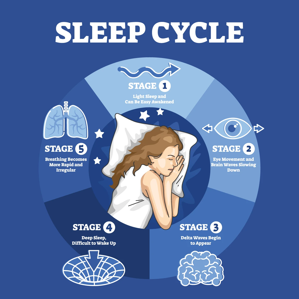 The image shows the five stages of sleep your body goes through when you are sleeping.